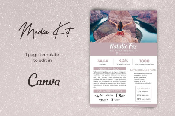 Download 1 Paged Influencer Media Kit Template - Flu Collection